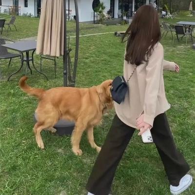 杨光的快乐生活之绅士品格